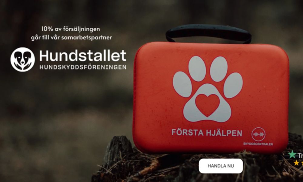 Omvärlden förändras och Sverige rustar för fullt